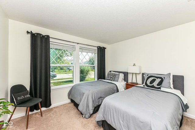 5765 White Pine Rd, Whitestown, IN 46075 - bedroom with light colored carpet and baseboards