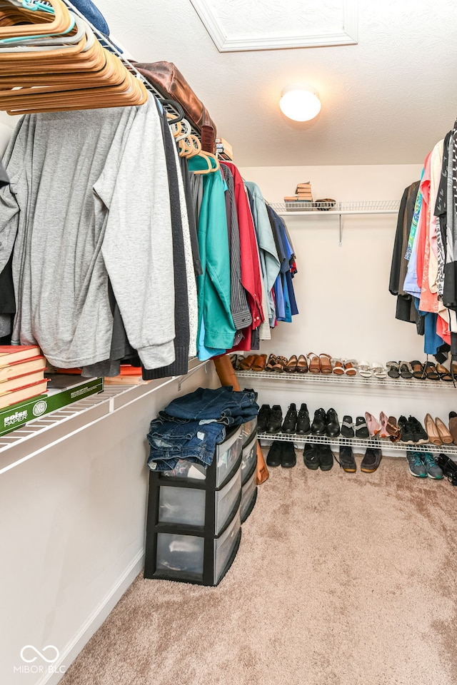 5765 White Pine Rd, Whitestown, IN 46075 - walk in closet featuring carpet floors