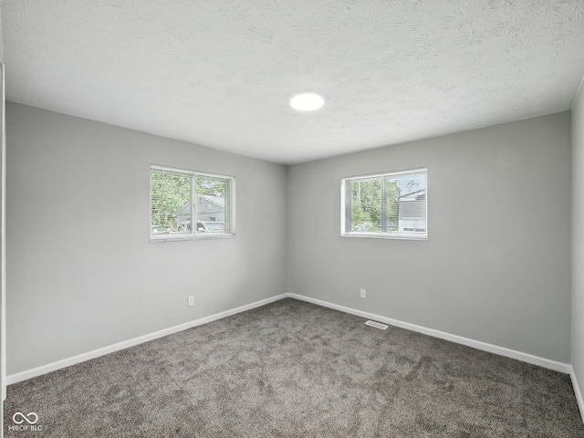 2853 S State Ave, Indianapolis, IN 46203 - carpeted empty room with plenty of natural light and a textured ceiling