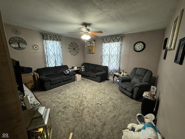 9721 S 100 E, Pendleton, IN 46064 - carpeted living area featuring ceiling fan and a textured ceiling
