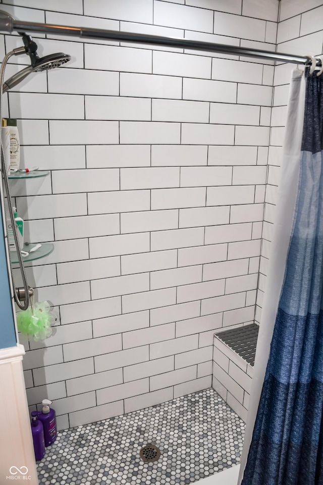 206 Olive St, Arcadia, IN 46030 - bathroom featuring a stall shower