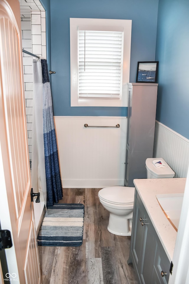 206 Olive St, Arcadia, IN 46030 - full bath featuring a wainscoted wall, wood finished floors, vanity, and a shower with curtain