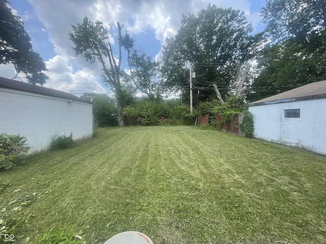 3642 N Dequincy St, Indianapolis, IN 46218 - view of green lawn