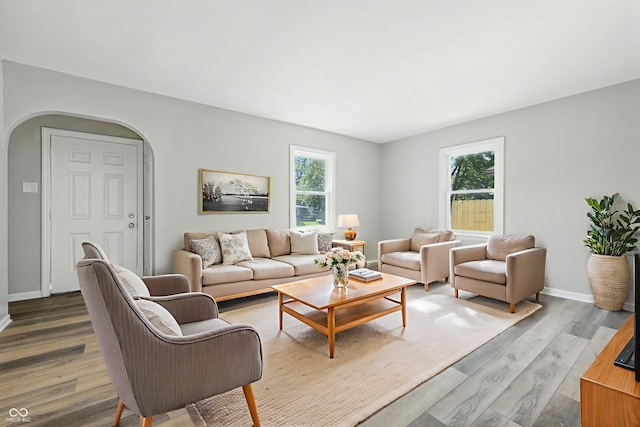 452 N Fenton Ave, Indianapolis, IN 46219 - living room with healthy amount of natural light, arched walkways, and wood finished floors