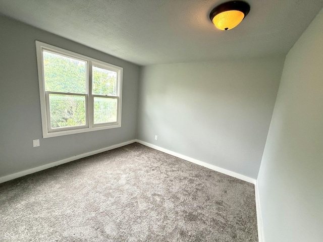 492 S Livingston Ave, Indianapolis, IN 46241 - photo 19