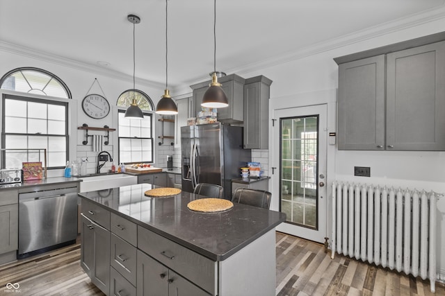 38 W Main St, Brownsburg, IN 46112 - kitchen featuring radiator, stainless steel appliances, gray cabinetry, wood finished floors, and backsplash
