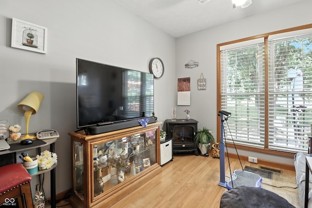 1346 N Buck Creek Rd, Greenfield, IN 46140 - living room featuring light wood finished floors and a wood stove