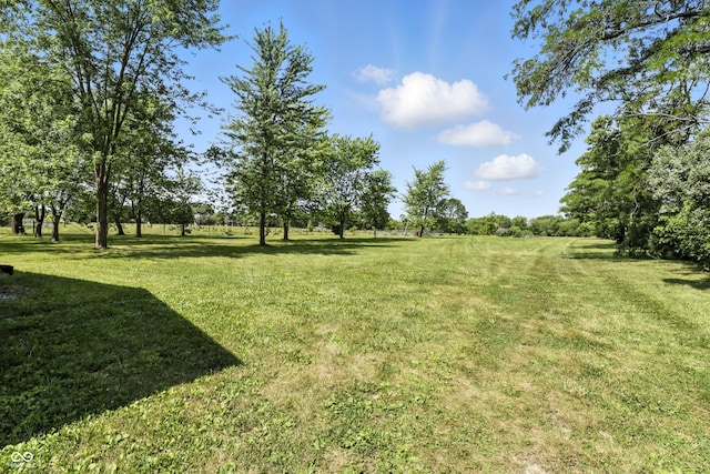 1346 N Buck Creek Rd, Greenfield, IN 46140 - view of green lawn