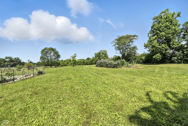 1346 N Buck Creek Rd, Greenfield, IN 46140 - view of green lawn with a view of rural / pastoral area