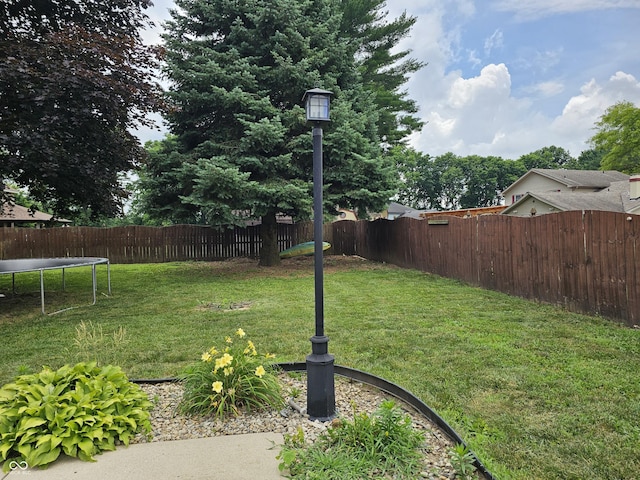 2239 Chevelle Ct, Anderson, IN 46012 - fenced backyard with a trampoline