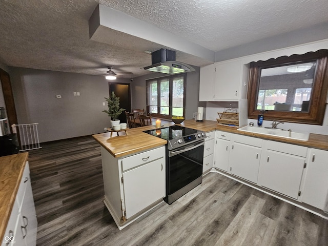 2239 Chevelle Ct, Anderson, IN 46012 - kitchen with stainless steel electric range oven, a textured ceiling, a peninsula, wooden counters, and dark wood-style floors