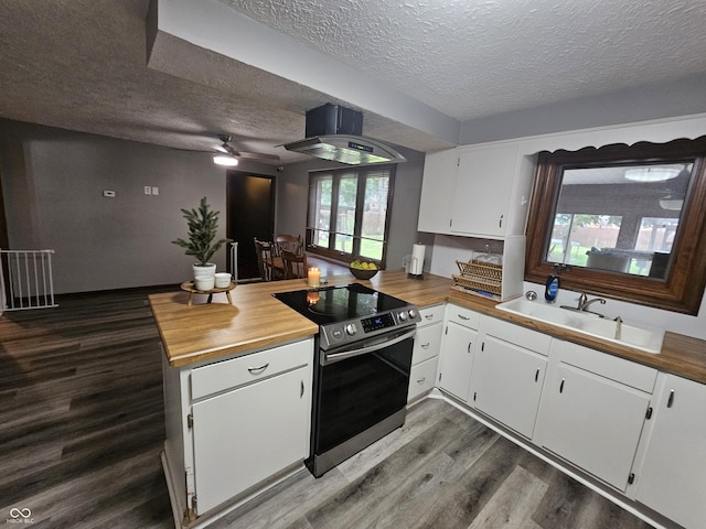 2239 Chevelle Ct, Anderson, IN 46012 - kitchen with stainless steel electric stove, a peninsula, a textured ceiling, wood counters, and range hood