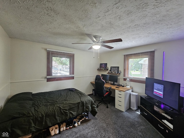 2239 Chevelle Ct, Anderson, IN 46012 - bedroom with carpet flooring, multiple windows, a desk, ceiling fan, and a textured ceiling