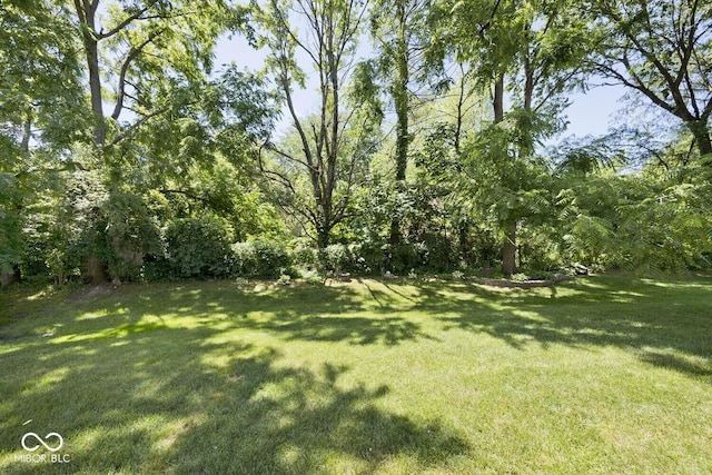 8909 Carnation Dr, Noblesville, IN 46060 - view of grassy yard