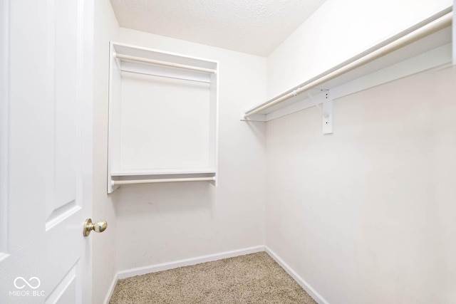 8909 Carnation Dr, Noblesville, IN 46060 - walk in closet with carpet floors