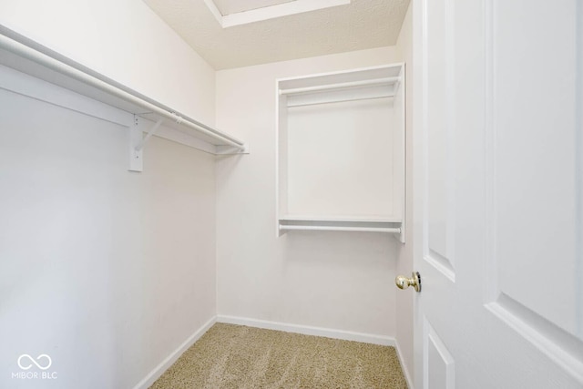 8909 Carnation Dr, Noblesville, IN 46060 - spacious closet with carpet