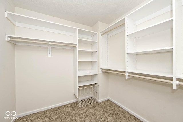 8909 Carnation Dr, Noblesville, IN 46060 - spacious closet with carpet flooring