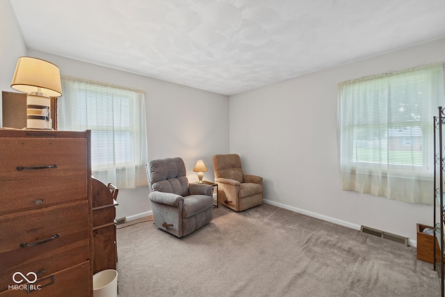 3620 Winter St, Lafayette, IN 47909 - sitting room featuring carpet floors