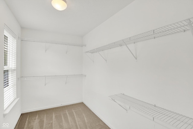 5674 Brownstone Dr, Indianapolis, IN 46220 - spacious closet with light carpet