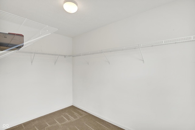 5674 Brownstone Dr, Indianapolis, IN 46220 - spacious closet featuring carpet floors