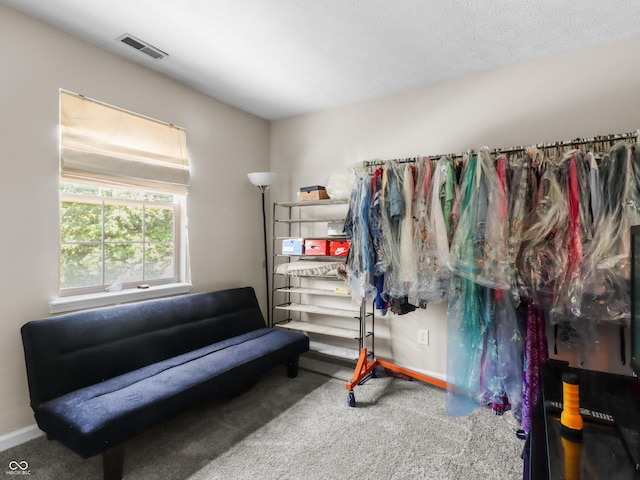 5626 Prince Woods Cir, Indianapolis, IN 46224 - walk in closet featuring carpet flooring