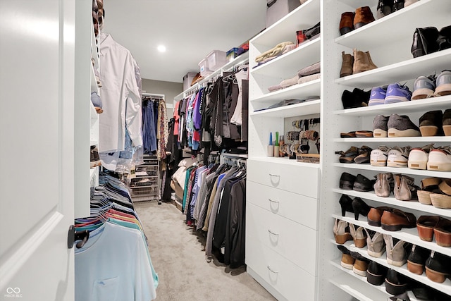 1319 Petit Verdot Dr, Westfield, IN 46074 - spacious closet featuring light colored carpet