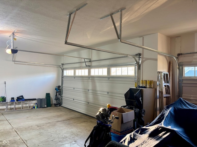 1319 Petit Verdot Dr, Westfield, IN 46074 - garage featuring a garage door opener