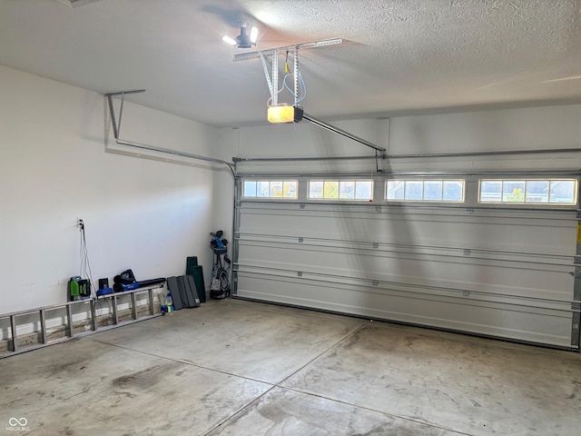 1319 Petit Verdot Dr, Westfield, IN 46074 - garage with a garage door opener