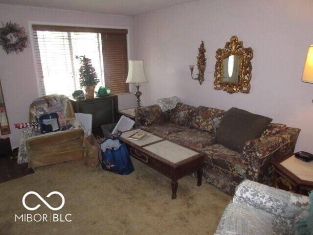 2610 Marywood Dr, Southport, IN 46227 - view of carpeted living room