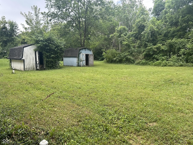 1330 Schleicher Ave, Indianapolis, IN 46229 - view of green lawn with a shed