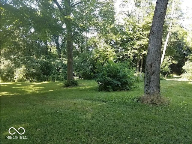 18378 Southeastern Pkwy, Fortville, IN 46040 - view of nature