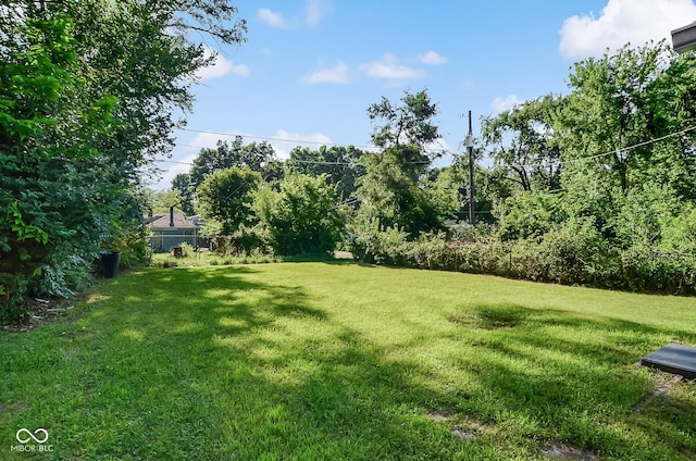 3508 Brouse Ave, Indianapolis, IN 46218 - photo 12