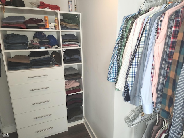 955 Dorman St, Indianapolis, IN 46202 - walk in closet with dark wood-type flooring