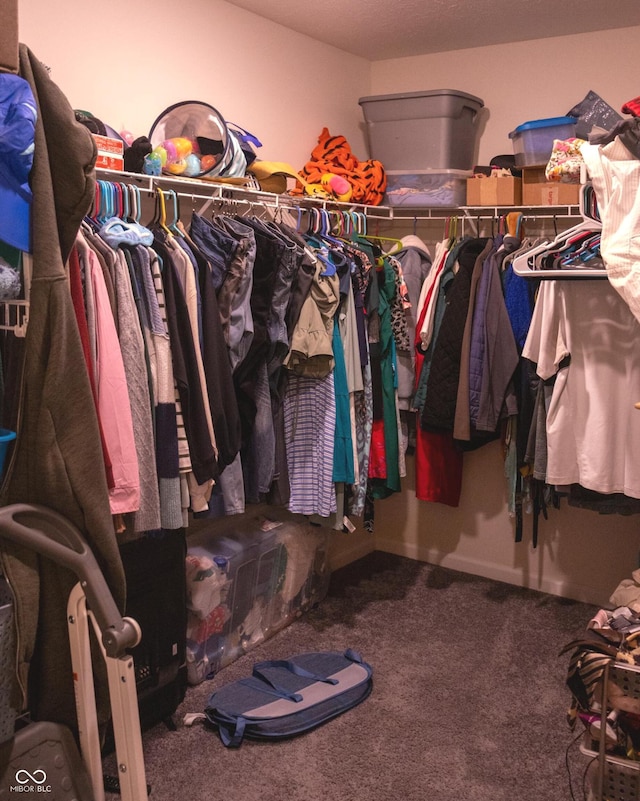 907 Ram Dr, Franklin, IN 46131 - spacious closet with carpet