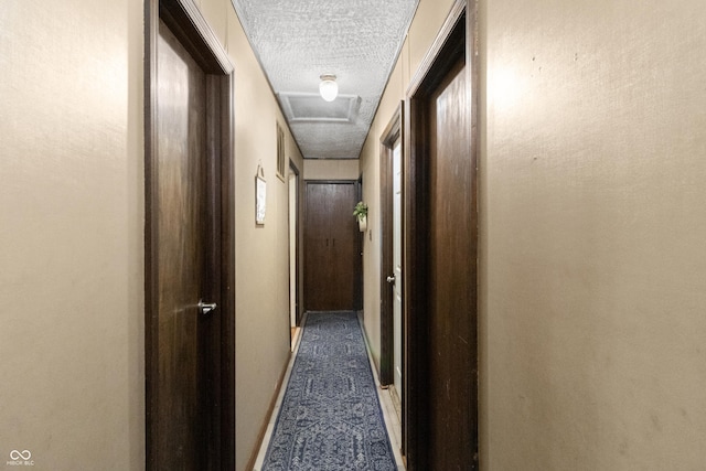 3534 Carr Ave, Indianapolis, IN 46221 - hall featuring a textured ceiling and carpet floors