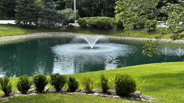 2083 Kerns Ct, Carmel, IN 46280 - water view