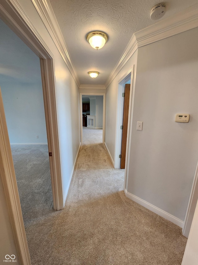1633 Belfield St, Indianapolis, IN 46217 - corridor with light colored carpet, crown molding, and a textured ceiling
