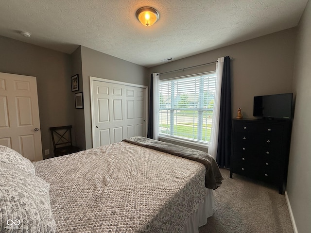 19280 Scofield Ridge Blvd, Westfield, IN 46062 - carpeted bedroom featuring a closet and a textured ceiling