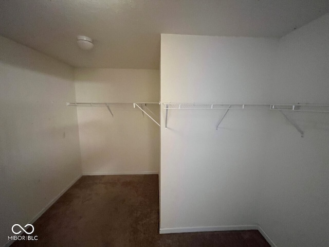 7532 Gold Rush Ct, Camby, IN 46113 - photo 33