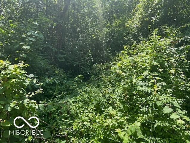 2961 Opal St, Indianapolis, IN 46268 - photo 1