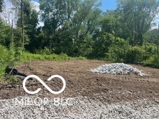 2961 Opal St, Indianapolis, IN 46268 - photo 2
