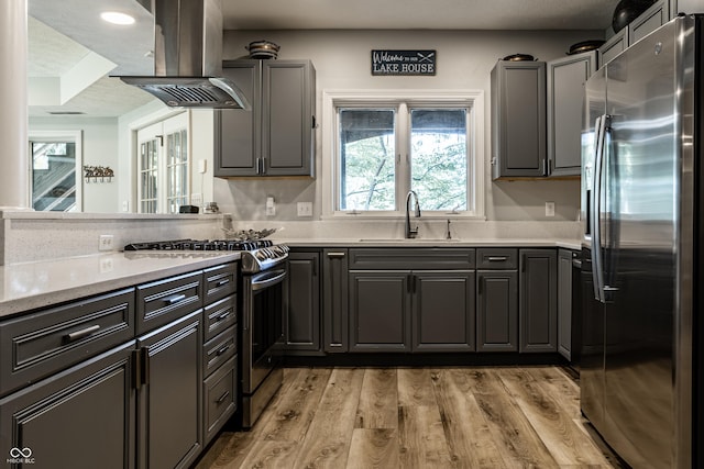 295 Watershed Ct, Noblesville, IN 46062 - kitchen with appliances with stainless steel finishes, island range hood, light wood finished floors, and gray cabinetry
