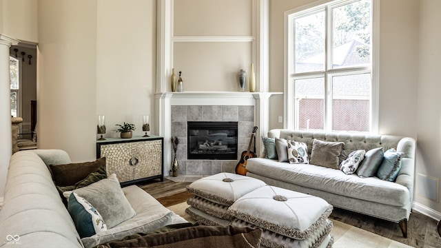 295 Watershed Ct, Noblesville, IN 46062 - living room featuring wood finished floors, a fireplace, and healthy amount of natural light