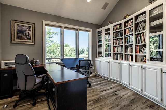 295 Watershed Ct, Noblesville, IN 46062 - office area with lofted ceiling and dark wood-style flooring