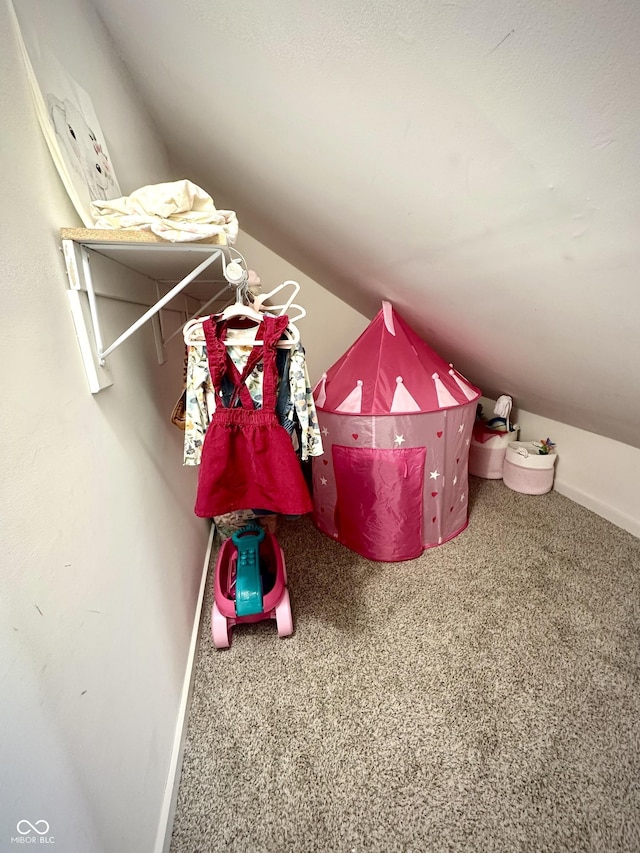 514 E 2nd St, Sheridan, IN 46069 - walk in closet with carpet and vaulted ceiling