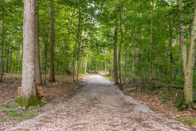 2350 E County Road 20 N, North Vernon, IN 47265 - view of road with a wooded view