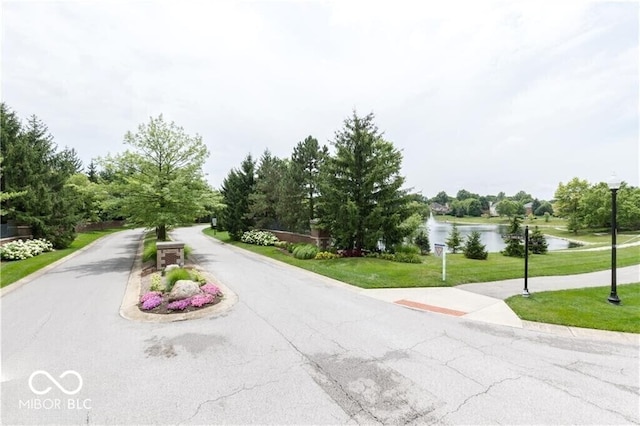 6813 Bluffgrove Dr, Indianapolis, IN 46278 - view of asphalt street with a water view and street lighting