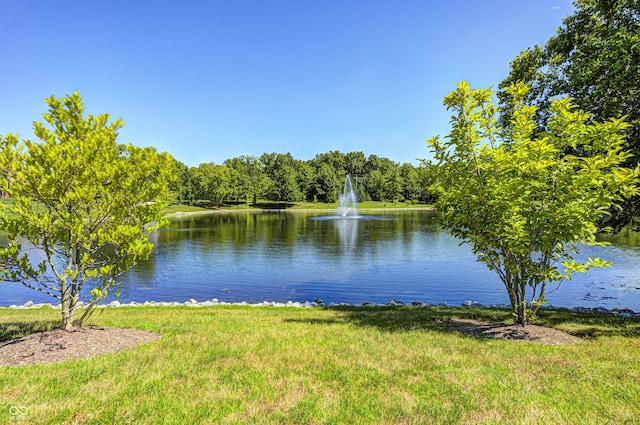 6813 Bluffgrove Dr, Indianapolis, IN 46278 - water view