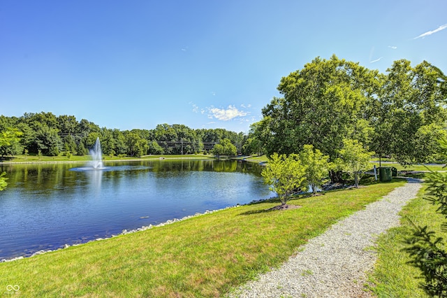 6813 Bluffgrove Dr, Indianapolis, IN 46278 - water view featuring a heavily wooded area