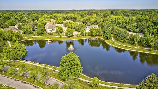 6813 Bluffgrove Dr, Indianapolis, IN 46278 - aerial view of property and surrounding area with a heavily wooded area and a nearby body of water